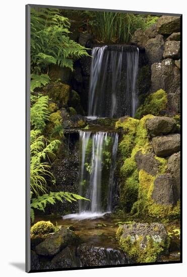 Waterfall, Crystal Springs Rhododendron Garden, Portland, Oregon, USA-Michel Hersen-Mounted Photographic Print