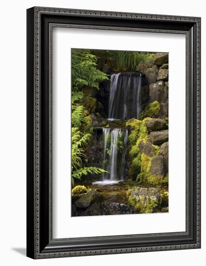 Waterfall, Crystal Springs Rhododendron Garden, Portland, Oregon, USA-Michel Hersen-Framed Photographic Print