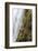 Waterfall Dynjandi, Westfjords, West Iceland-Julia Wellner-Framed Photographic Print