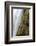 Waterfall Dynjandi, Westfjords, West Iceland-Julia Wellner-Framed Photographic Print