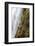 Waterfall Dynjandi, Westfjords, West Iceland-Julia Wellner-Framed Photographic Print