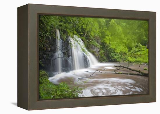 Waterfall, Fairy Glen Rspb Reserve, Inverness-Shire, Scotland, UK, May-Peter Cairns-Framed Premier Image Canvas