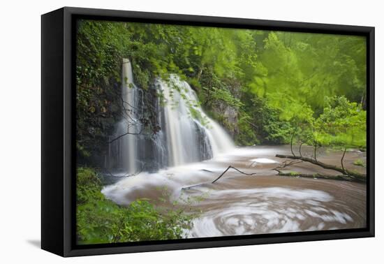 Waterfall, Fairy Glen Rspb Reserve, Inverness-Shire, Scotland, UK, May-Peter Cairns-Framed Premier Image Canvas