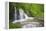 Waterfall, Fairy Glen Rspb Reserve, Inverness-Shire, Scotland, UK, May-Peter Cairns-Framed Premier Image Canvas