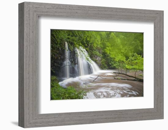 Waterfall, Fairy Glen Rspb Reserve, Inverness-Shire, Scotland, UK, May-Peter Cairns-Framed Photographic Print