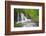 Waterfall, Fairy Glen Rspb Reserve, Inverness-Shire, Scotland, UK, May-Peter Cairns-Framed Photographic Print