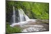 Waterfall, Fairy Glen Rspb Reserve, Inverness-Shire, Scotland, UK, May-Peter Cairns-Mounted Photographic Print