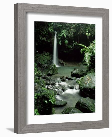 Waterfall Flowing into the Emerald Pool, Dominica, West Indies, Central America-James Gritz-Framed Photographic Print