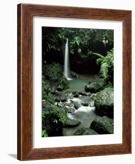 Waterfall Flowing into the Emerald Pool, Dominica, West Indies, Central America-James Gritz-Framed Photographic Print