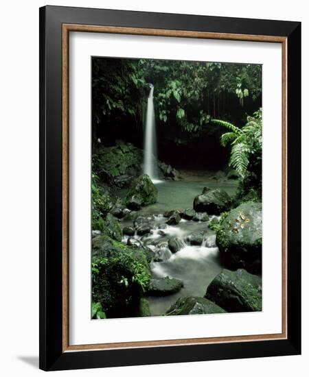 Waterfall Flowing into the Emerald Pool, Dominica, West Indies, Central America-James Gritz-Framed Photographic Print