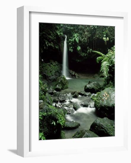 Waterfall Flowing into the Emerald Pool, Dominica, West Indies, Central America-James Gritz-Framed Photographic Print