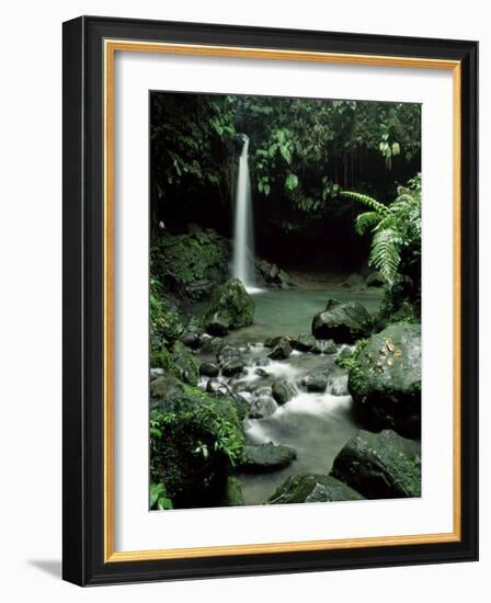 Waterfall Flowing into the Emerald Pool, Dominica, West Indies, Central America-James Gritz-Framed Photographic Print