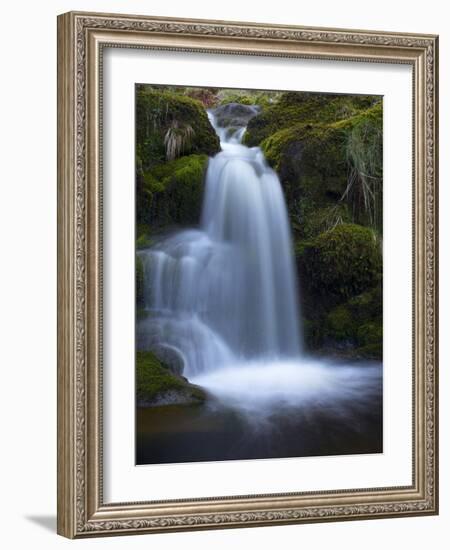 Waterfall, Glen Artney, Near Crieff, Perthshire, Scotland, United Kingdom, Europe-Jeremy Lightfoot-Framed Photographic Print