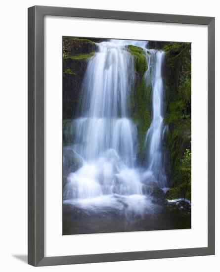 Waterfall, Glen Artney, Near Crieff, Perthshire, Scotland, United Kingdom, Europe-Jeremy Lightfoot-Framed Photographic Print