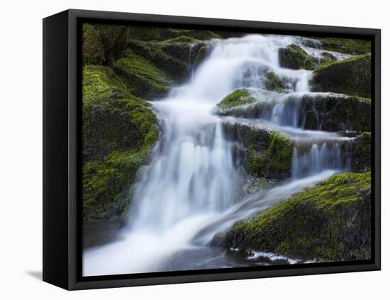 Waterfall, Glen Artney, Near Crieff, Perthshire, Scotland, United Kingdom, Europe-Jeremy Lightfoot-Framed Premier Image Canvas