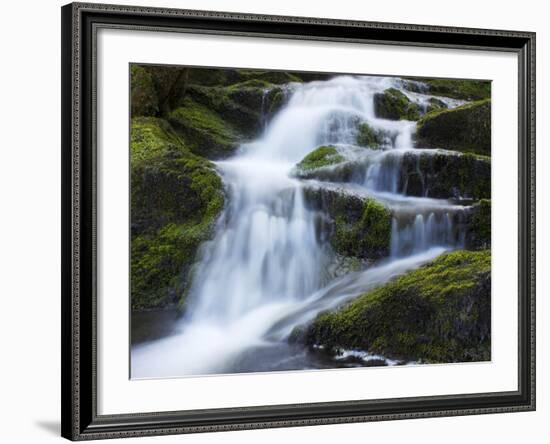 Waterfall, Glen Artney, Near Crieff, Perthshire, Scotland, United Kingdom, Europe-Jeremy Lightfoot-Framed Photographic Print