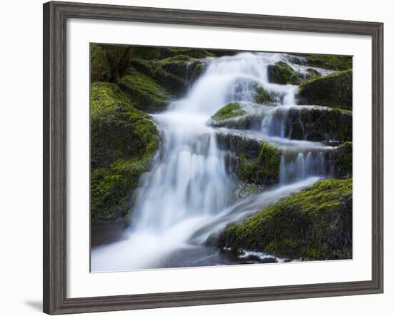 Waterfall, Glen Artney, Near Crieff, Perthshire, Scotland, United Kingdom, Europe-Jeremy Lightfoot-Framed Photographic Print