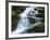 Waterfall, Glen Artney, Near Crieff, Perthshire, Scotland, United Kingdom, Europe-Jeremy Lightfoot-Framed Photographic Print