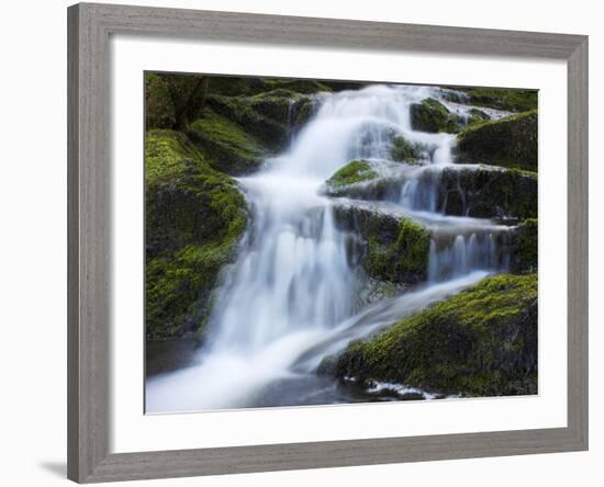 Waterfall, Glen Artney, Near Crieff, Perthshire, Scotland, United Kingdom, Europe-Jeremy Lightfoot-Framed Photographic Print