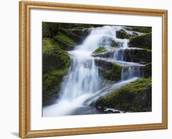 Waterfall, Glen Artney, Near Crieff, Perthshire, Scotland, United Kingdom, Europe-Jeremy Lightfoot-Framed Photographic Print