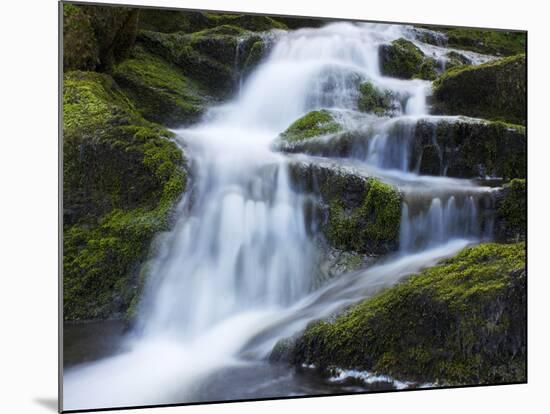 Waterfall, Glen Artney, Near Crieff, Perthshire, Scotland, United Kingdom, Europe-Jeremy Lightfoot-Mounted Photographic Print