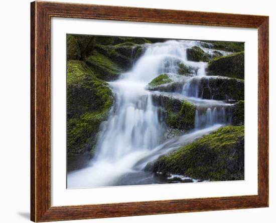 Waterfall, Glen Artney, Near Crieff, Perthshire, Scotland, United Kingdom, Europe-Jeremy Lightfoot-Framed Photographic Print