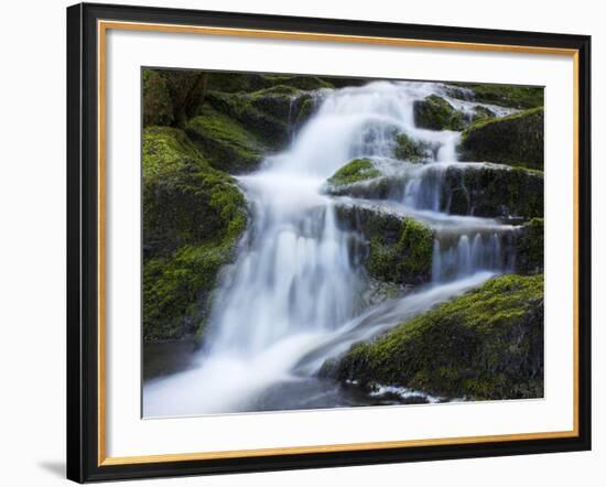 Waterfall, Glen Artney, Near Crieff, Perthshire, Scotland, United Kingdom, Europe-Jeremy Lightfoot-Framed Photographic Print