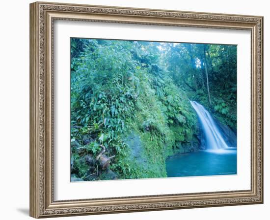 Waterfall, Guadeloupe, French Antilles, Caribbean-J P De Manne-Framed Photographic Print