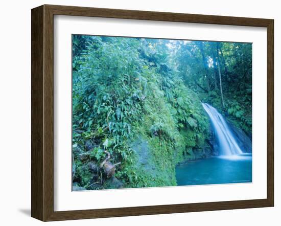 Waterfall, Guadeloupe, French Antilles, Caribbean-J P De Manne-Framed Photographic Print