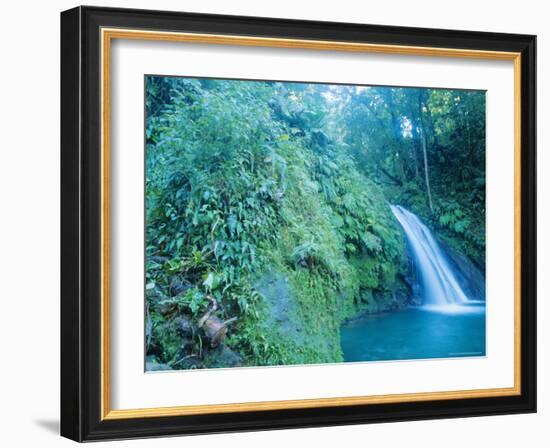 Waterfall, Guadeloupe, French Antilles, Caribbean-J P De Manne-Framed Photographic Print