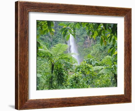 Waterfall, Guadeloupe, French Antilles, West Indies, Caribbean-J P De Manne-Framed Photographic Print