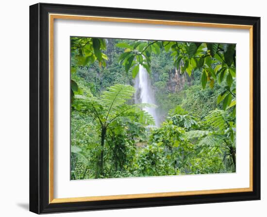 Waterfall, Guadeloupe, French Antilles, West Indies, Caribbean-J P De Manne-Framed Photographic Print