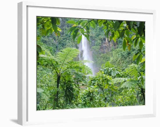 Waterfall, Guadeloupe, French Antilles, West Indies, Caribbean-J P De Manne-Framed Photographic Print