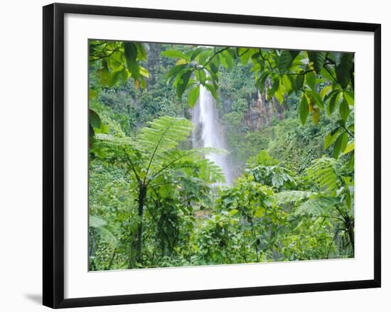 Waterfall, Guadeloupe, French Antilles, West Indies, Caribbean-J P De Manne-Framed Photographic Print