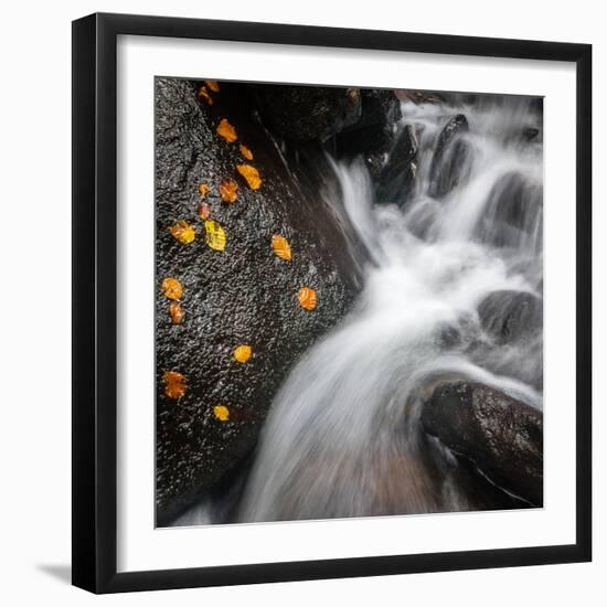 Waterfall, Hardcastle Crags, Calderdale, Yorkshire, England, United Kingdom, Europe-Bill Ward-Framed Photographic Print