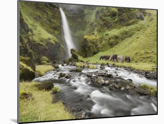 Waterfall Horses I-PHBurchett-Mounted Photographic Print