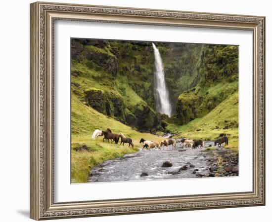 Waterfall Horses II-PHBurchett-Framed Photographic Print