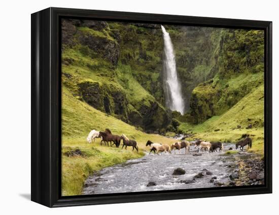 Waterfall Horses II-PHBurchett-Framed Premier Image Canvas