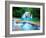 Waterfall II-Howard Ruby-Framed Photographic Print