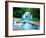 Waterfall II-Howard Ruby-Framed Photographic Print