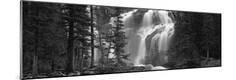 Photographic Print