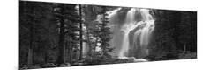 Photographic Print
