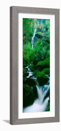 Waterfall in a Forest, Dartmoor, Devon, England-null-Framed Photographic Print