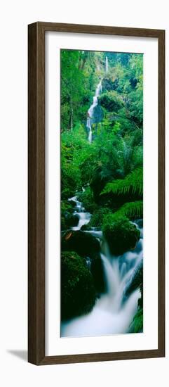 Waterfall in a Forest, Dartmoor, Devon, England-null-Framed Photographic Print
