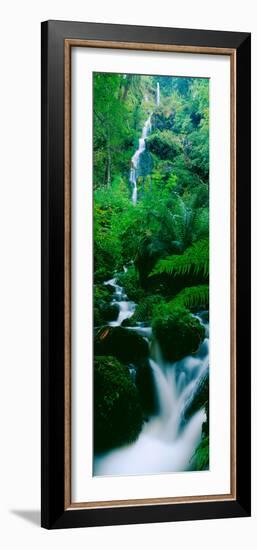 Waterfall in a Forest, Dartmoor, Devon, England-null-Framed Photographic Print