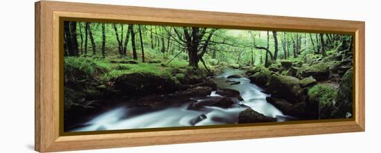 Waterfall in a Forest, Golitha Falls, River Fowey, Cornwall, England-null-Framed Premier Image Canvas