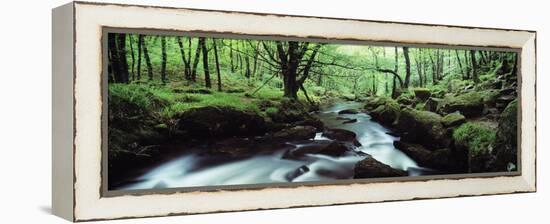 Waterfall in a Forest, Golitha Falls, River Fowey, Cornwall, England-null-Framed Premier Image Canvas