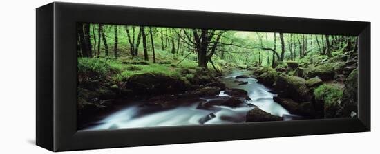 Waterfall in a Forest, Golitha Falls, River Fowey, Cornwall, England-null-Framed Premier Image Canvas