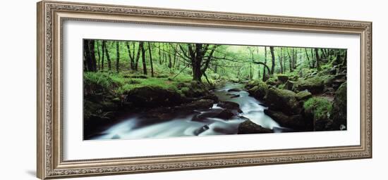 Waterfall in a Forest, Golitha Falls, River Fowey, Cornwall, England-null-Framed Photographic Print