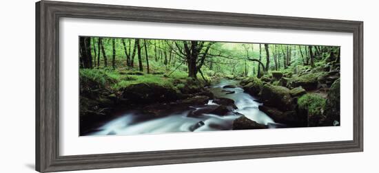 Waterfall in a Forest, Golitha Falls, River Fowey, Cornwall, England-null-Framed Photographic Print